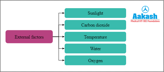 List of external factors affecting photosynthesis