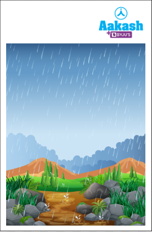 Heavy rainfall can cause soil erosion