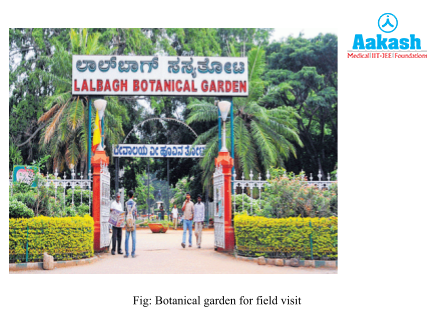 Botanical garden for field visit