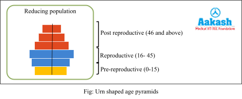 Urn shaped age pyramids