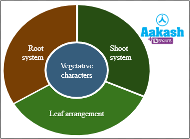 Fig: Vegetative characters