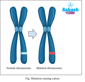 Mutation causing cancer