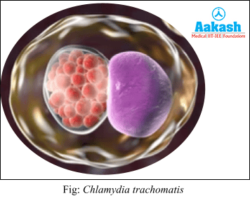 Chlamydia Trachomatis