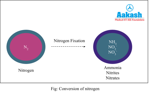 Conversion of nitrogen