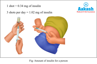 amount of insulin of a person