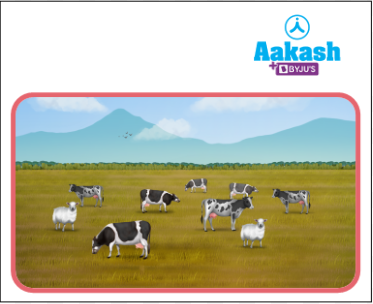 Unrestricted grazing can lead to soil erosion