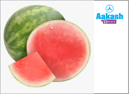 Fig: Parthenocarpic watermelons (seedless)