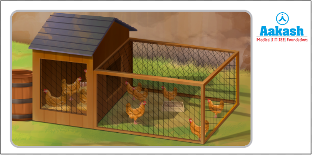 Coops for keeping poultry