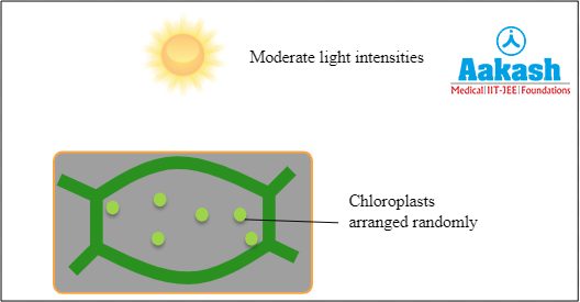 Apostrophe alignment