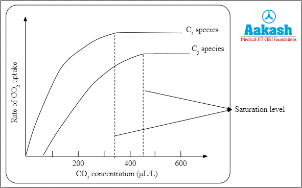 CO2 saturation of C3 and C4 plants