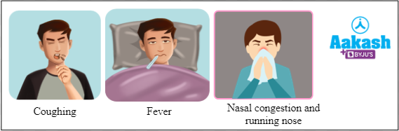 Fig: Common symptoms of whooping cough