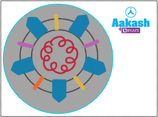 Fig: SARS-CoV (Severe acute respiratory syndrome coronavirus)