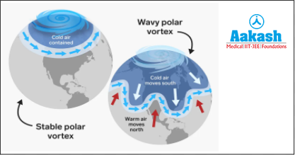 Fig: Polar vortex