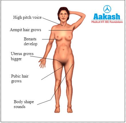 Secondary sexual characters in females