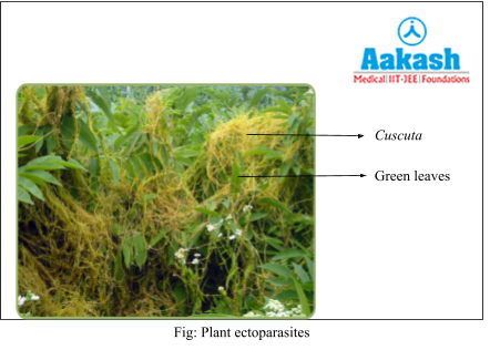 Plant ectoparasites