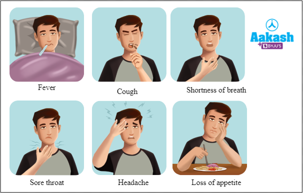Fig: Common symptoms of flu