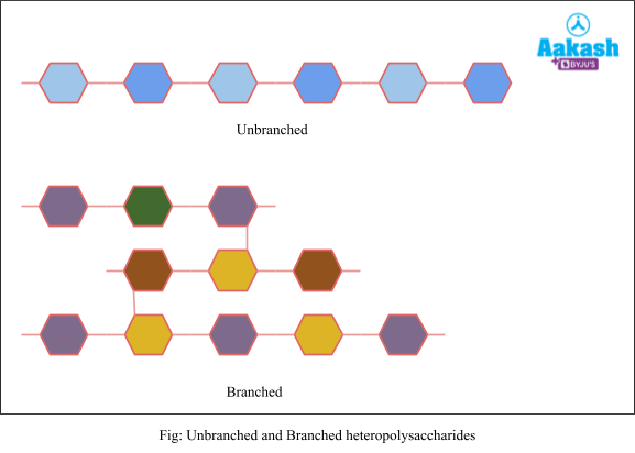 Unbranched and Branched heteropolysaccharides