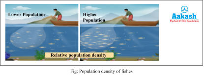 Population density of fishes