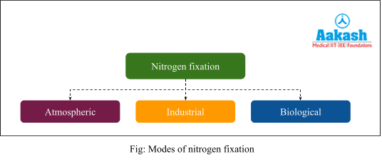  Modes of nitrogen fixation