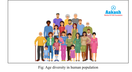 Age diversity in human population