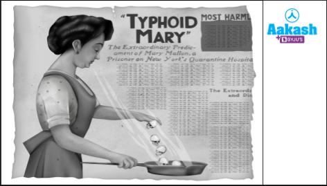 Typhoid Mary