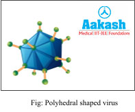 Polyhedral shaped virus