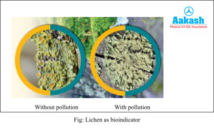 Lichen as Bioindicator