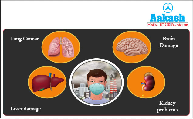 Long Term Effects of Air Pollution