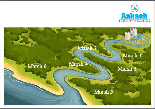 Marshes for Wtewater Treatment