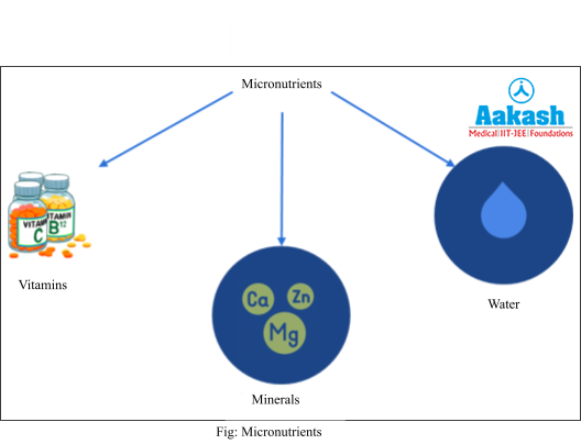 micronutrients