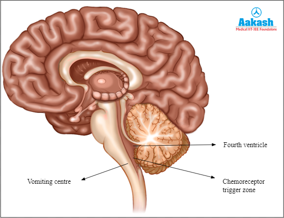 Regulating regions of reverse peristalsis