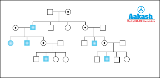 Inheritance of X-linked recessive trait