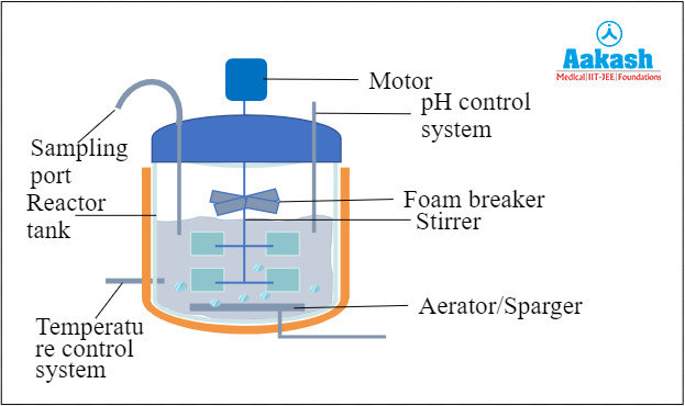 Stirred Tank Bioreactor