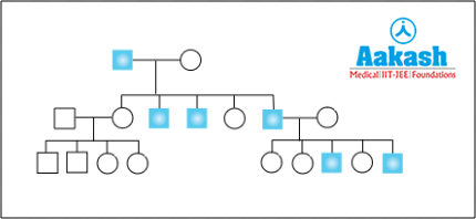 Inheritance of X-linked recessive trait