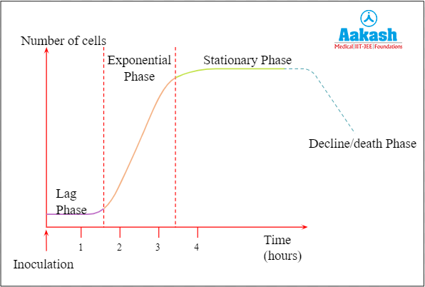 Phases of growth