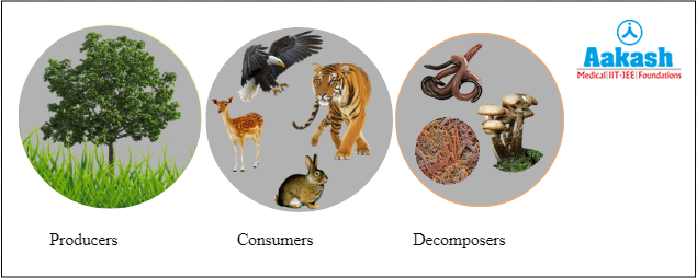 Biotic components of the environment