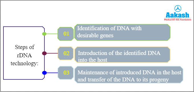 Steps of rDNA technology