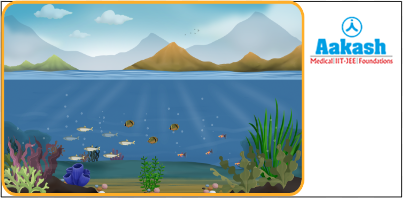  Ocean ecosystem