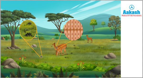 Secondary productivity