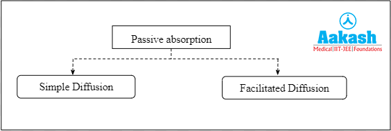 Types of passive absorption