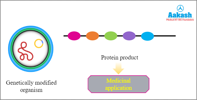 Desired product obtaining from GMO