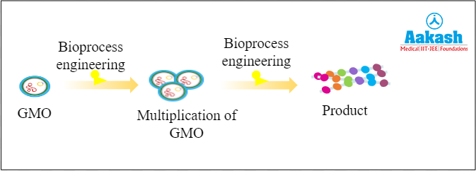 Process of bioprocess engineering