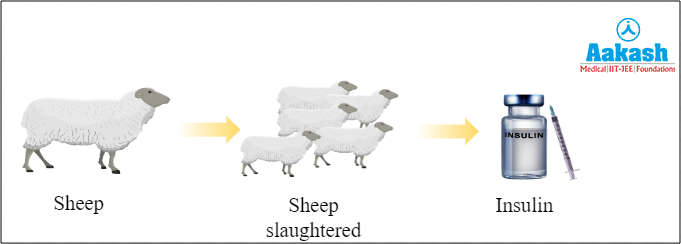 Traditional way to produce insulin