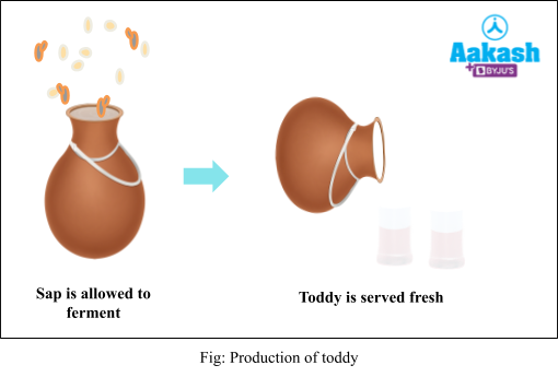 production of toddy