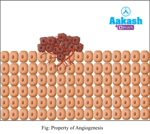 property of angiogesis