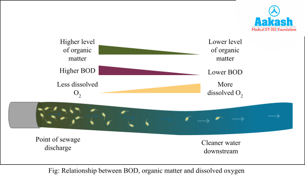 relationship between bod