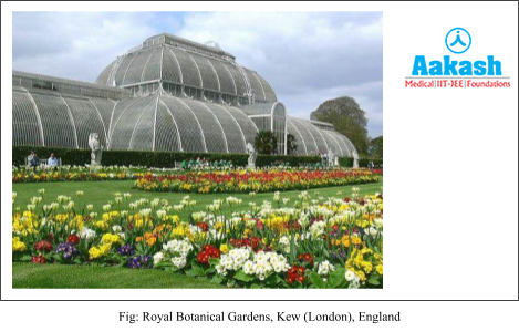 Royal Botanical Garden diagram