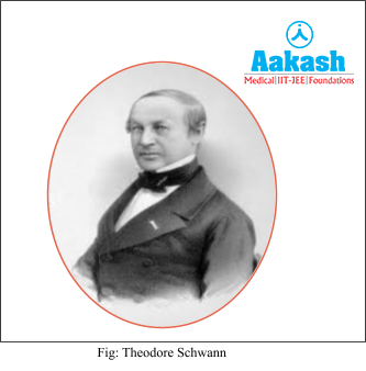 theodore schwann