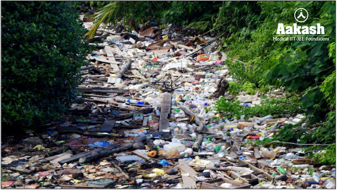 Water Pollution in Citarum River, Indonesia