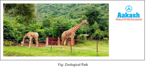Zoological Park diagram